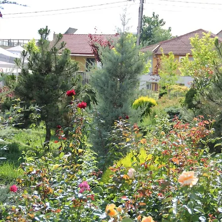 Sangria Năvodari